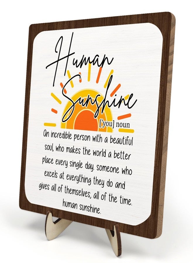 DMADNF Sunshine Gift, Motivational Appreciation Gift for Women Men, Wooden Plaque Sign for Coworker Teacher Office Desk Home Decor Human Sunshine Gifts - Image 1